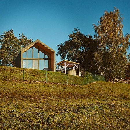 Scandinave Chalet Bran Zarnesti Luaran gambar