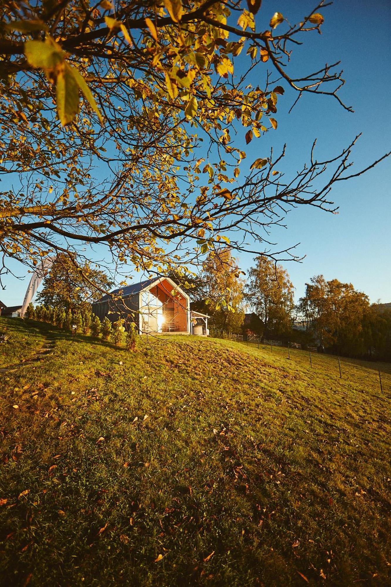 Scandinave Chalet Bran Zarnesti Luaran gambar
