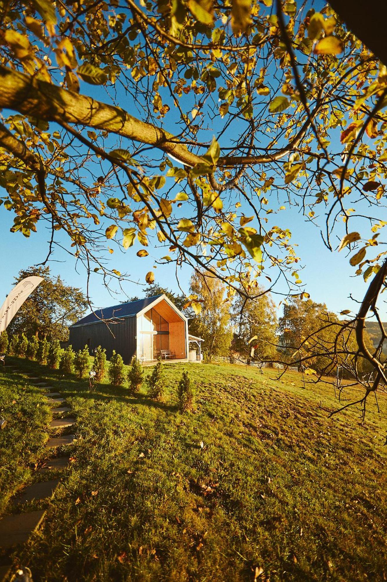 Scandinave Chalet Bran Zarnesti Luaran gambar