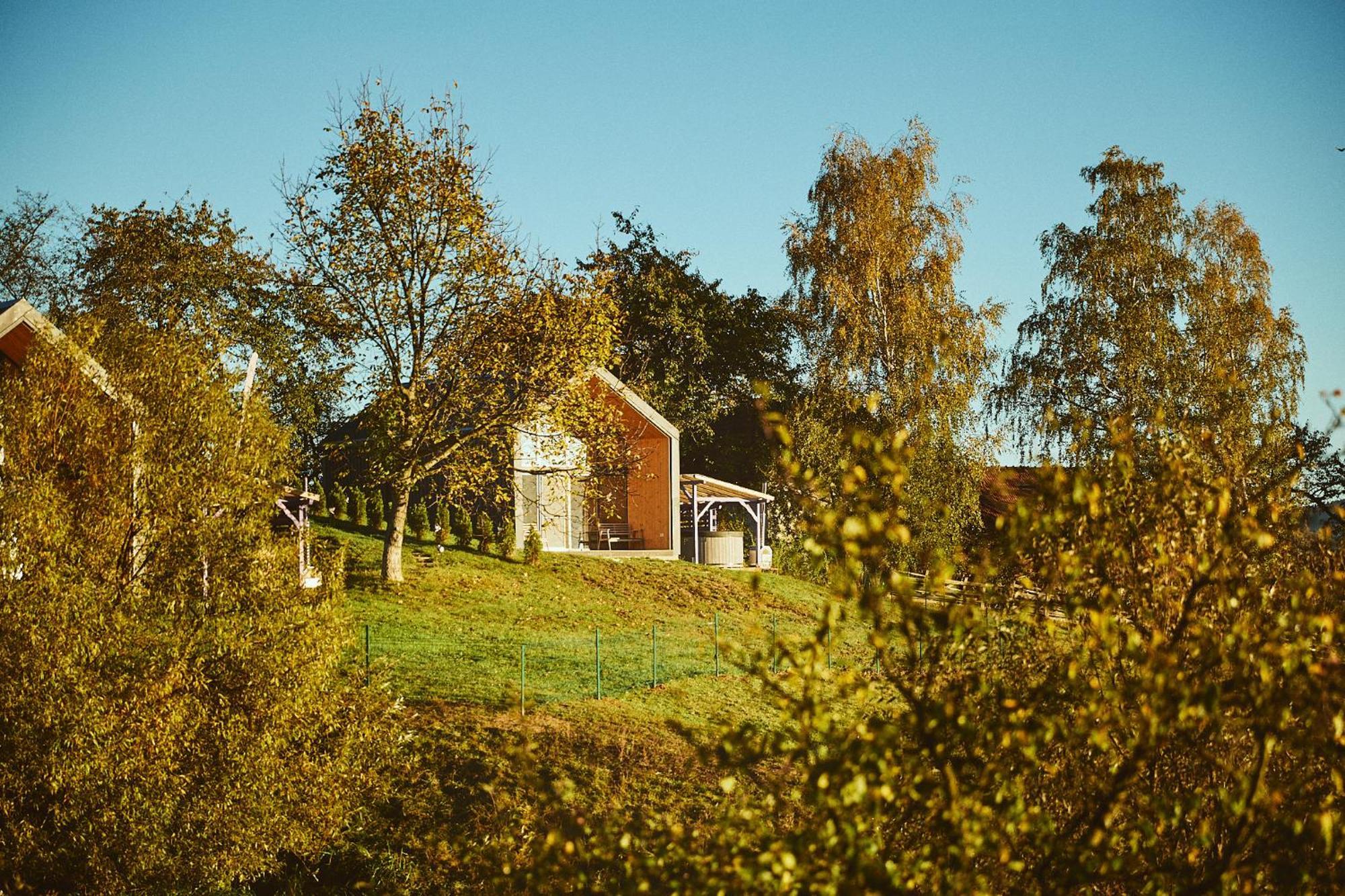 Scandinave Chalet Bran Zarnesti Luaran gambar