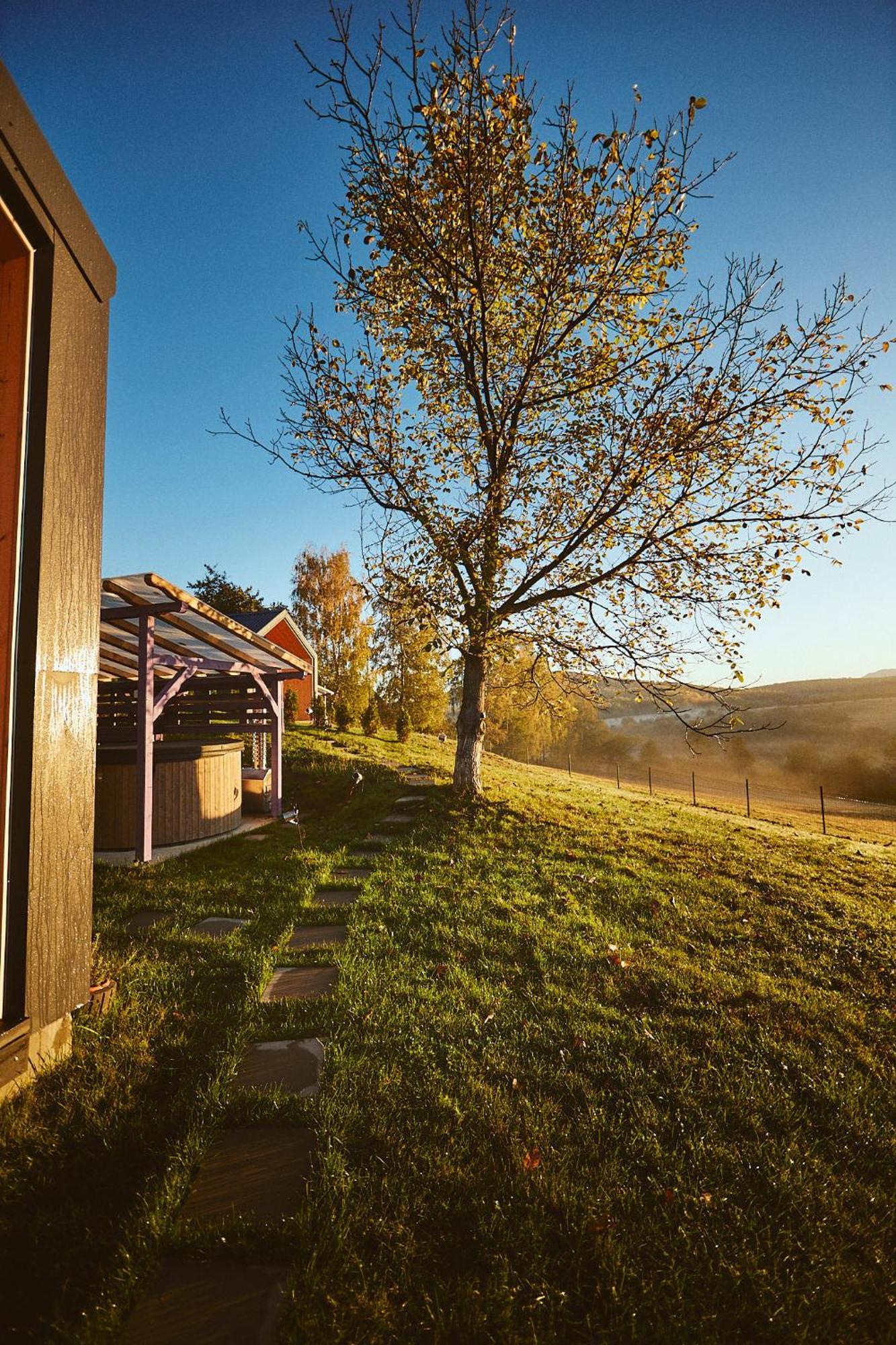 Scandinave Chalet Bran Zarnesti Luaran gambar