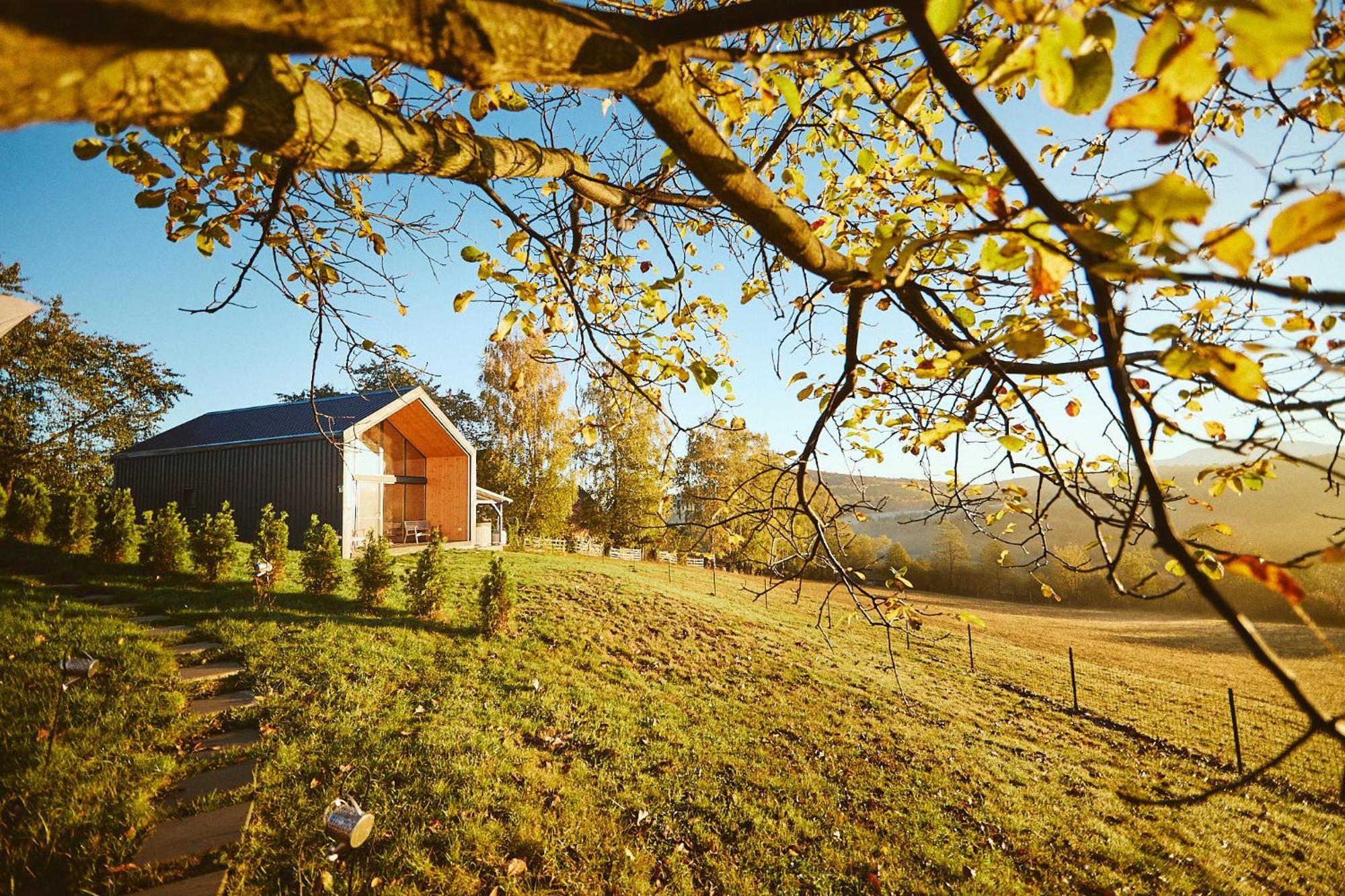 Scandinave Chalet Bran Zarnesti Luaran gambar
