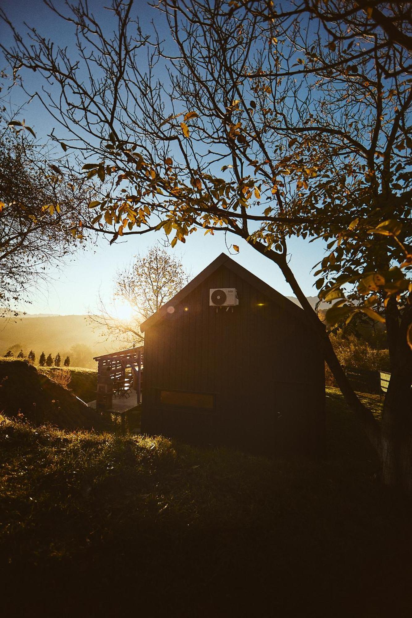 Scandinave Chalet Bran Zarnesti Luaran gambar